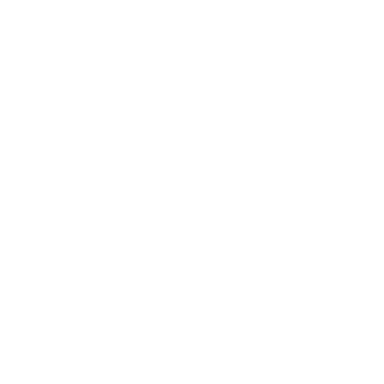 shield check svgrepo com (1)